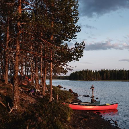Wildact Adventure Ab Guest House Storberg Bagian luar foto